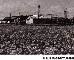 昭和30年ごろの太田油脂